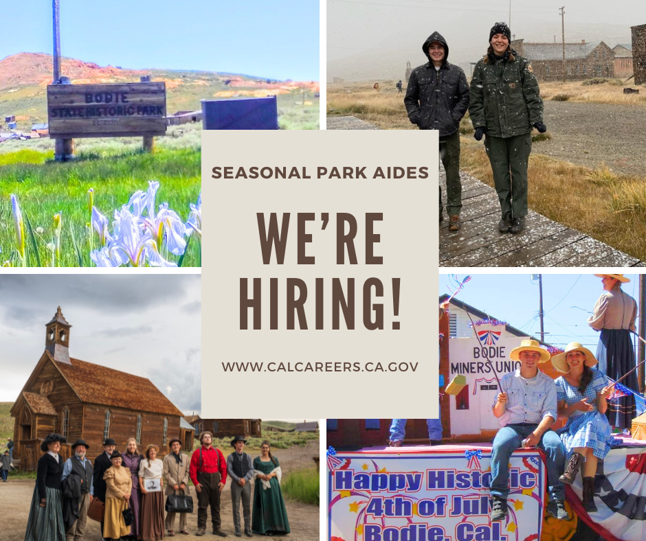 Now Hiring! 
